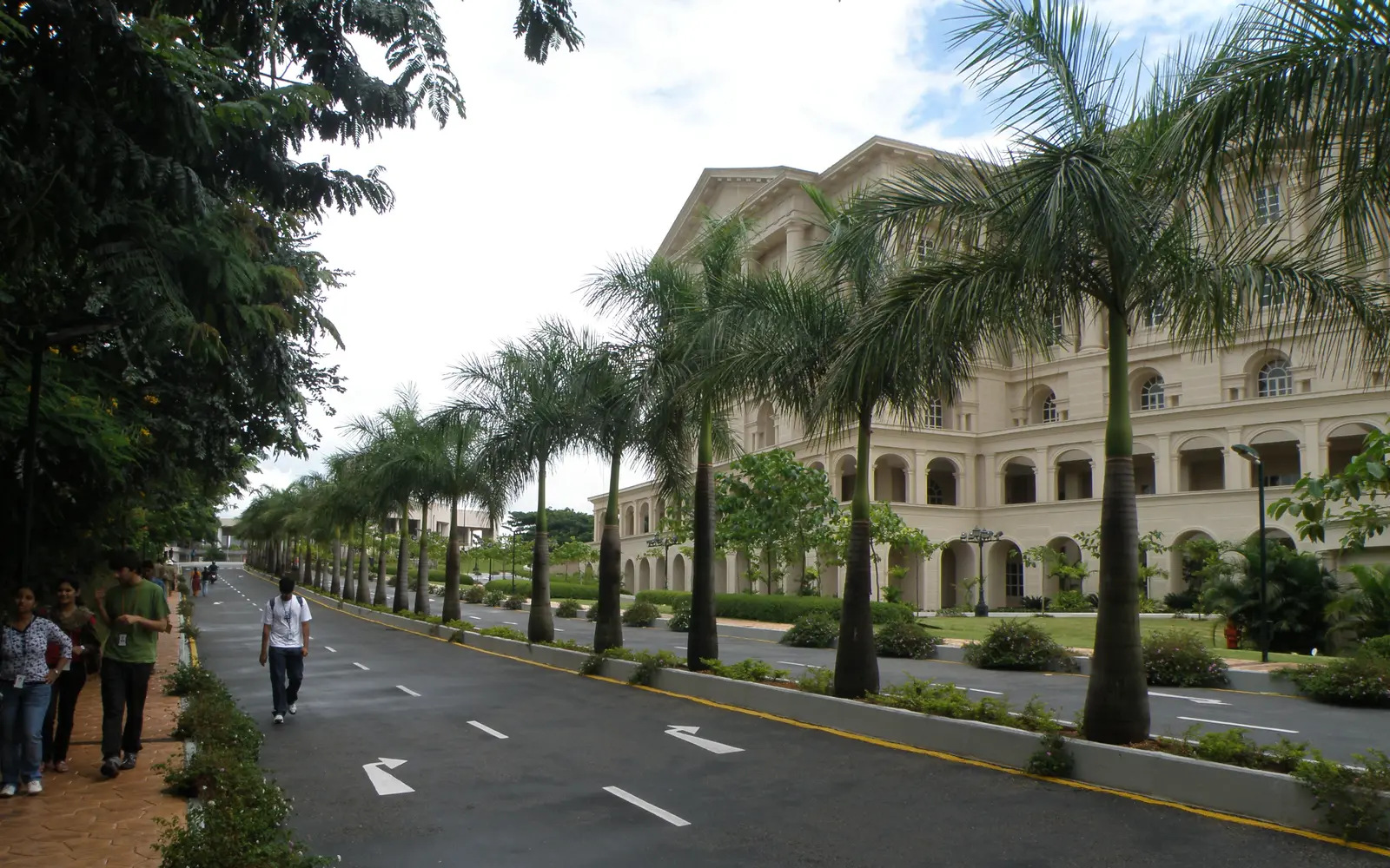 Tree-lined road on the Infosys Mysuru campus